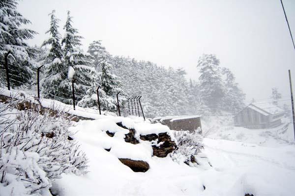uttarakhand weather report