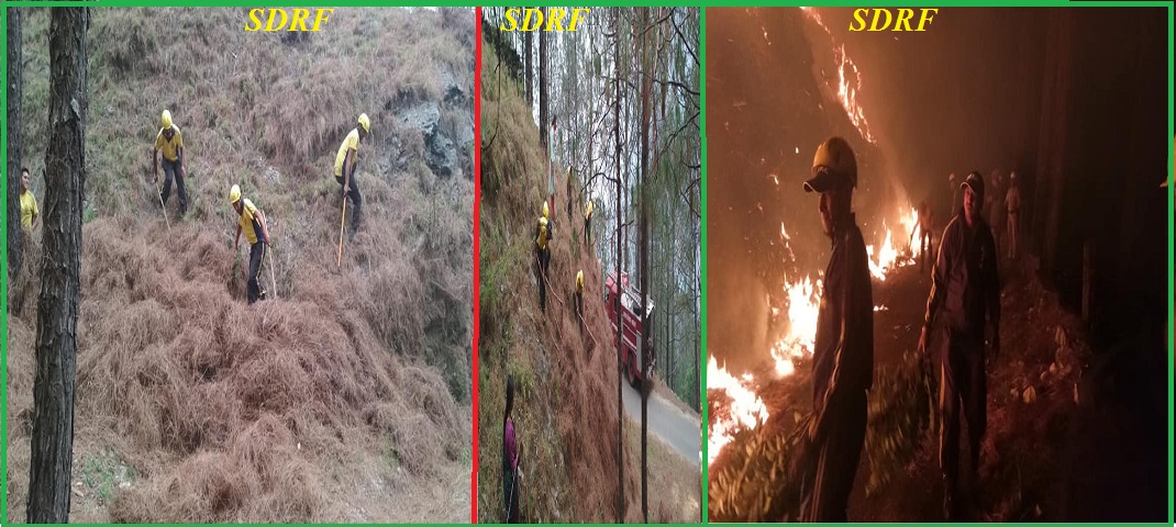 forest fire in uttrakhand