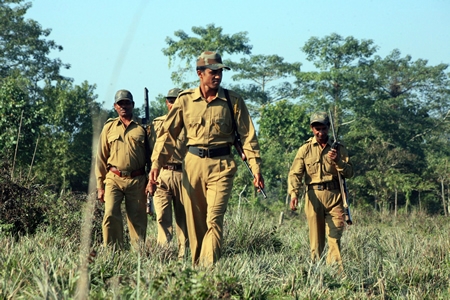 forest department