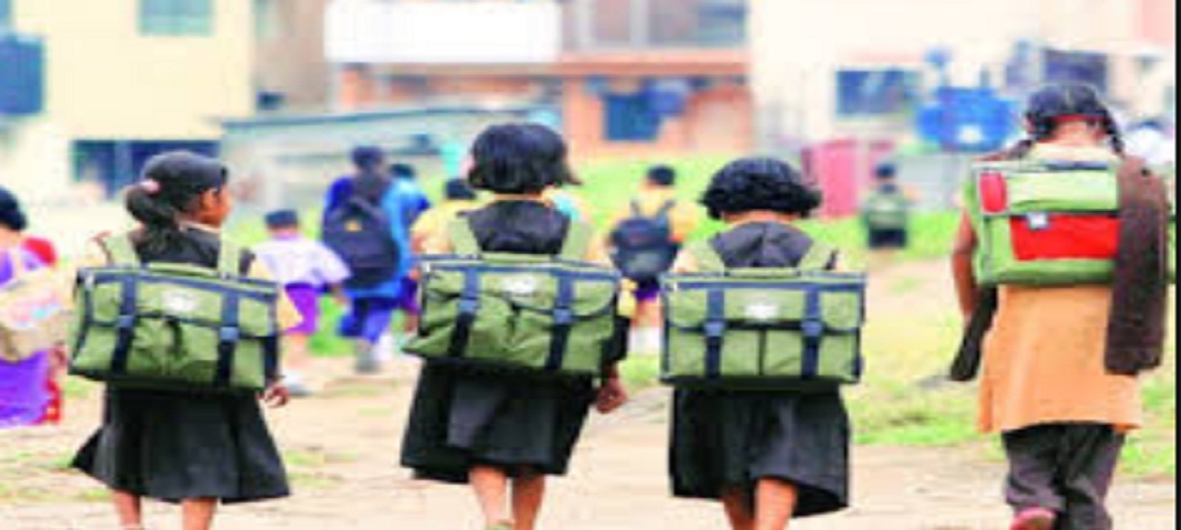 SCHOOL BAG