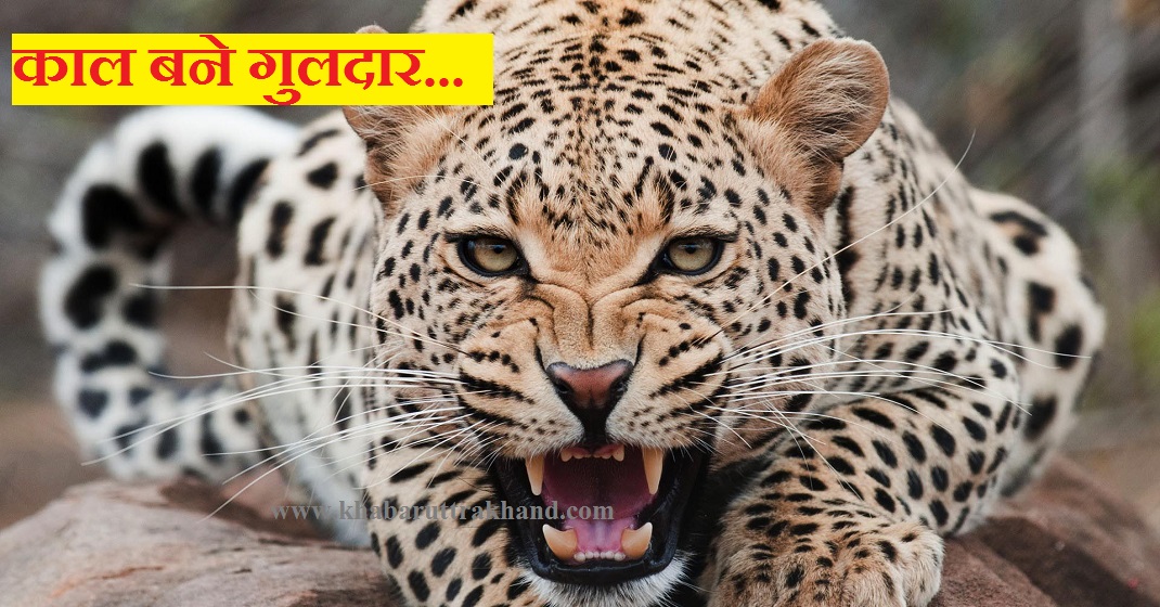 Guldaar