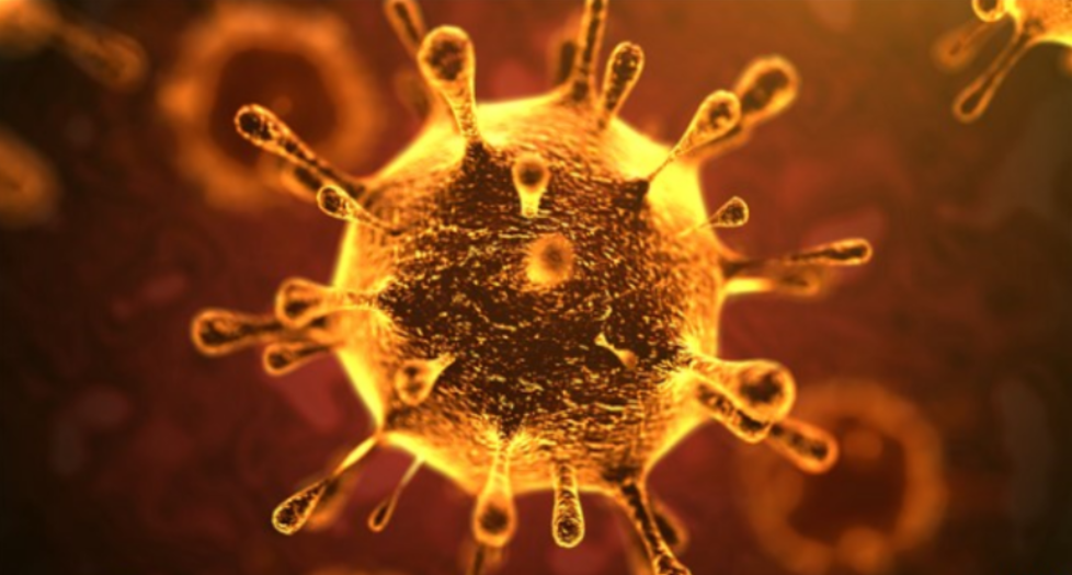 corona virus vaccine