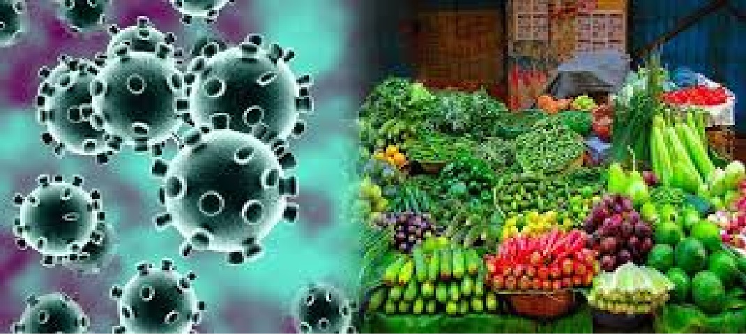 corona virus uttrakhand