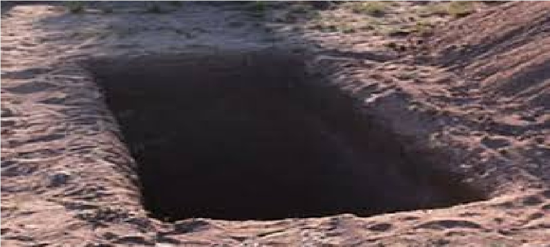corona virus uttrakhand