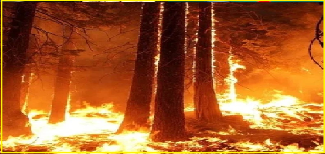 uttarakhand forest fire