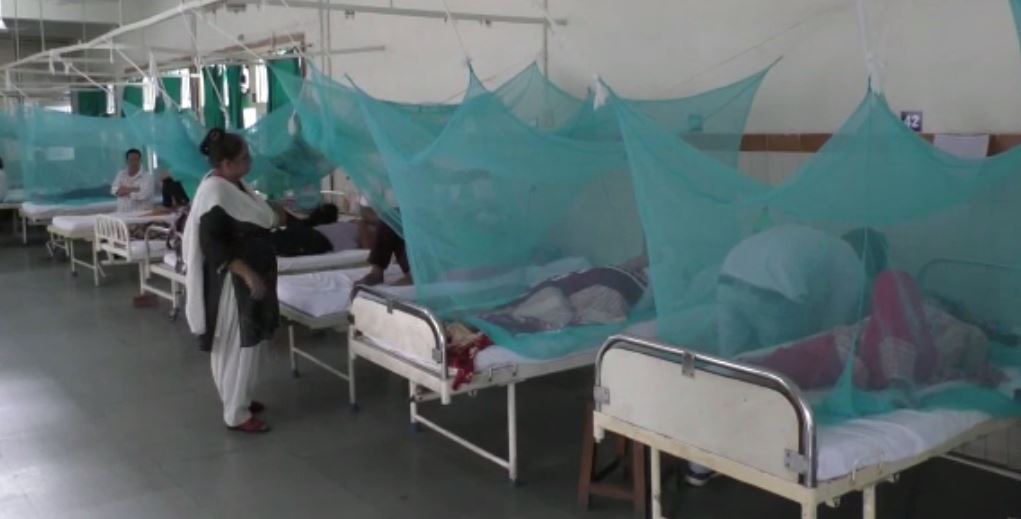 dengue