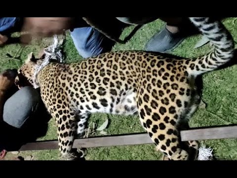 KANPUR ENCOUNTER