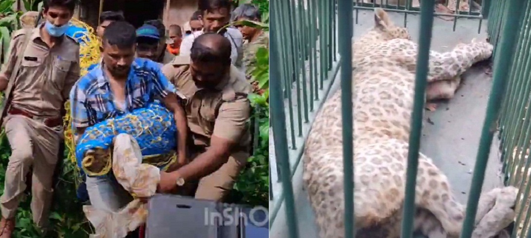 LEOPARD ATTACK IN UTTARAKHAND