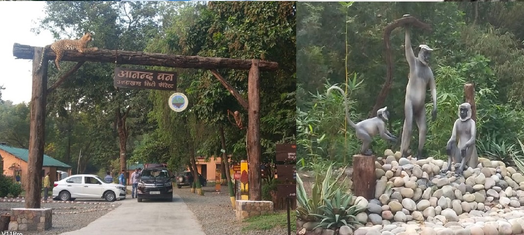 city forest dehradun