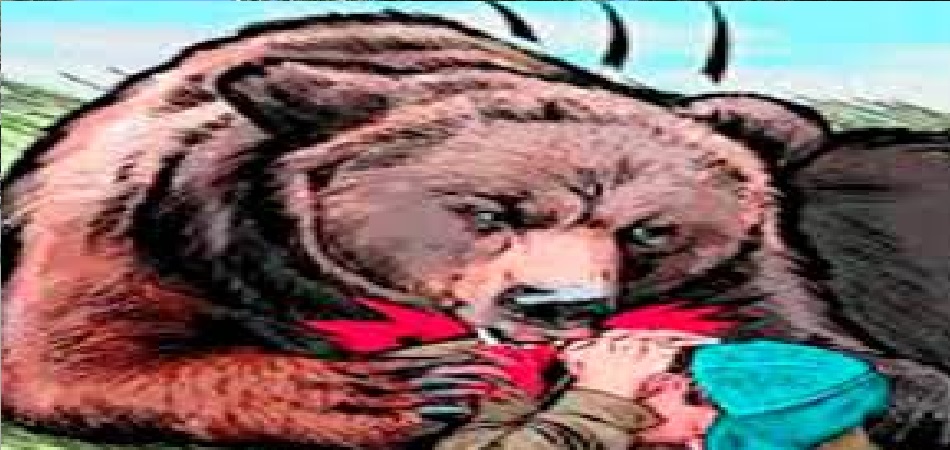 Bear attack