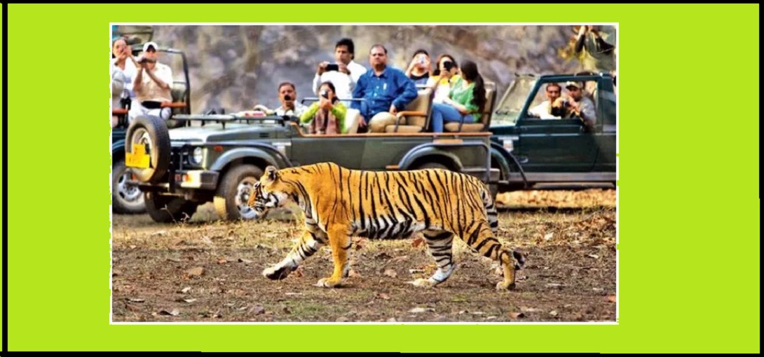corbett park ram nagar