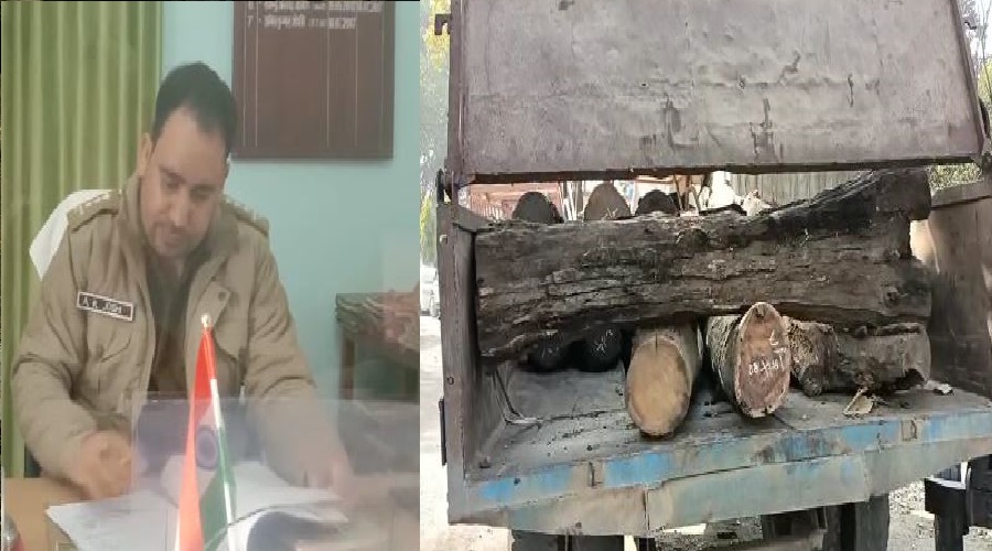 forest department