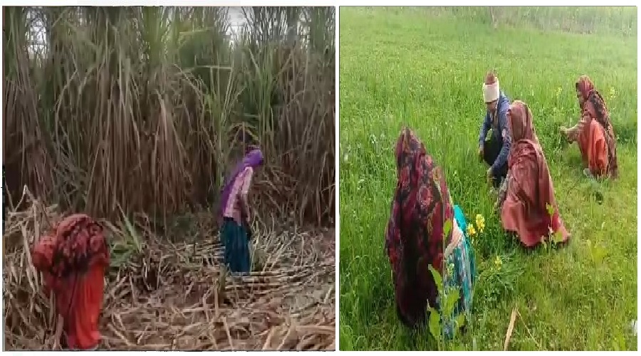 kisan andolan