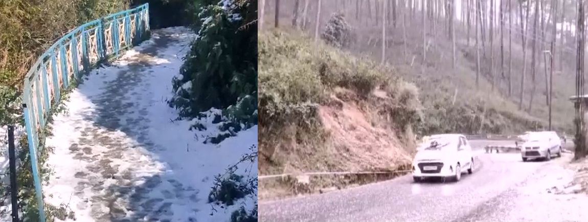 SNOW FALL
