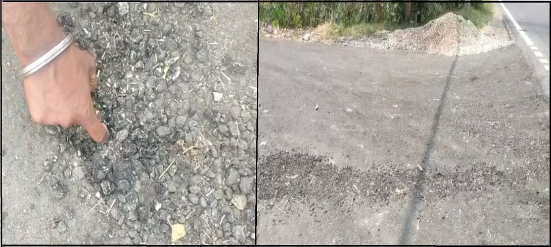 uttarakhand live news