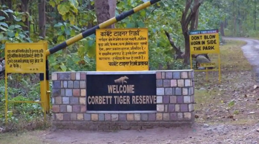 corbett tiger reserve
