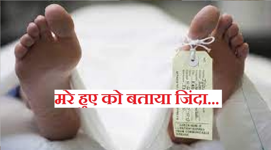 DM pauri