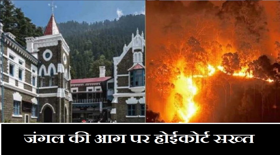 uttarakhand forest fire