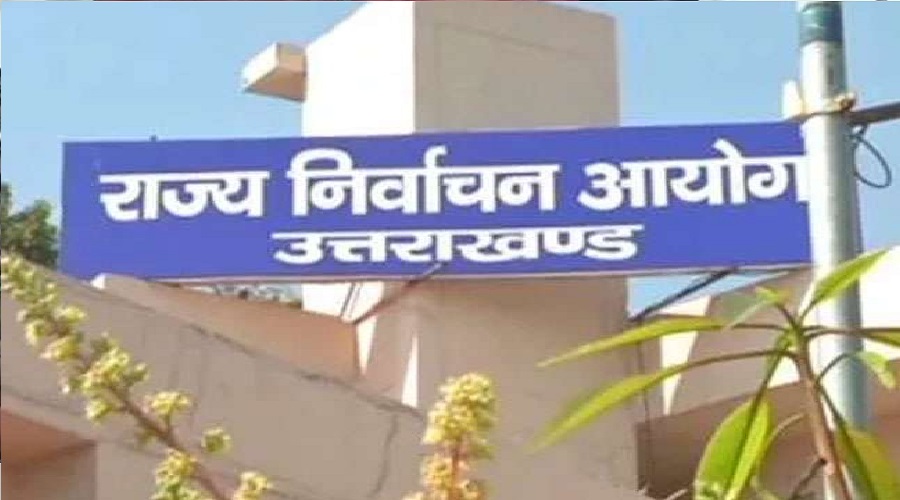 sarkari naukri