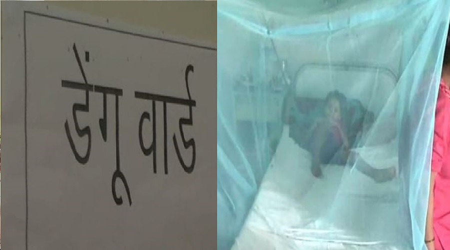 control dengue