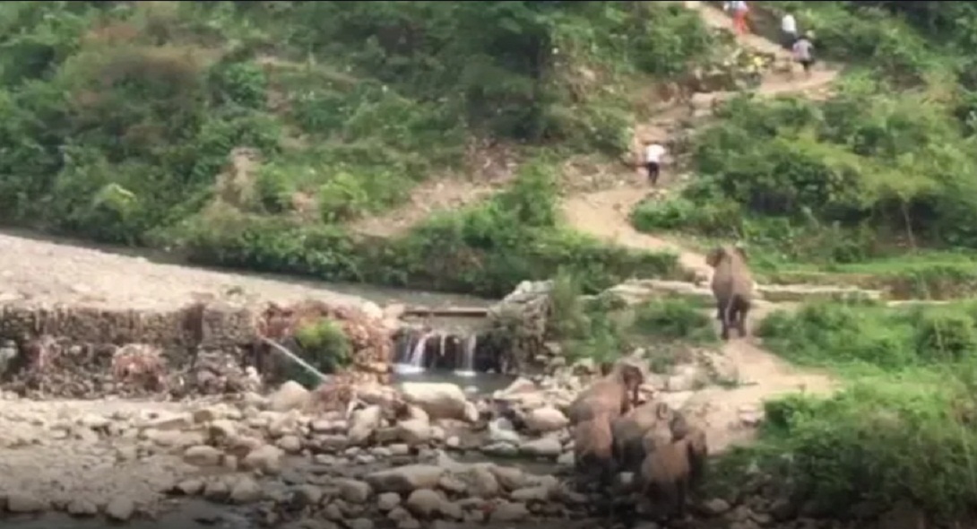 uttarakhand live news