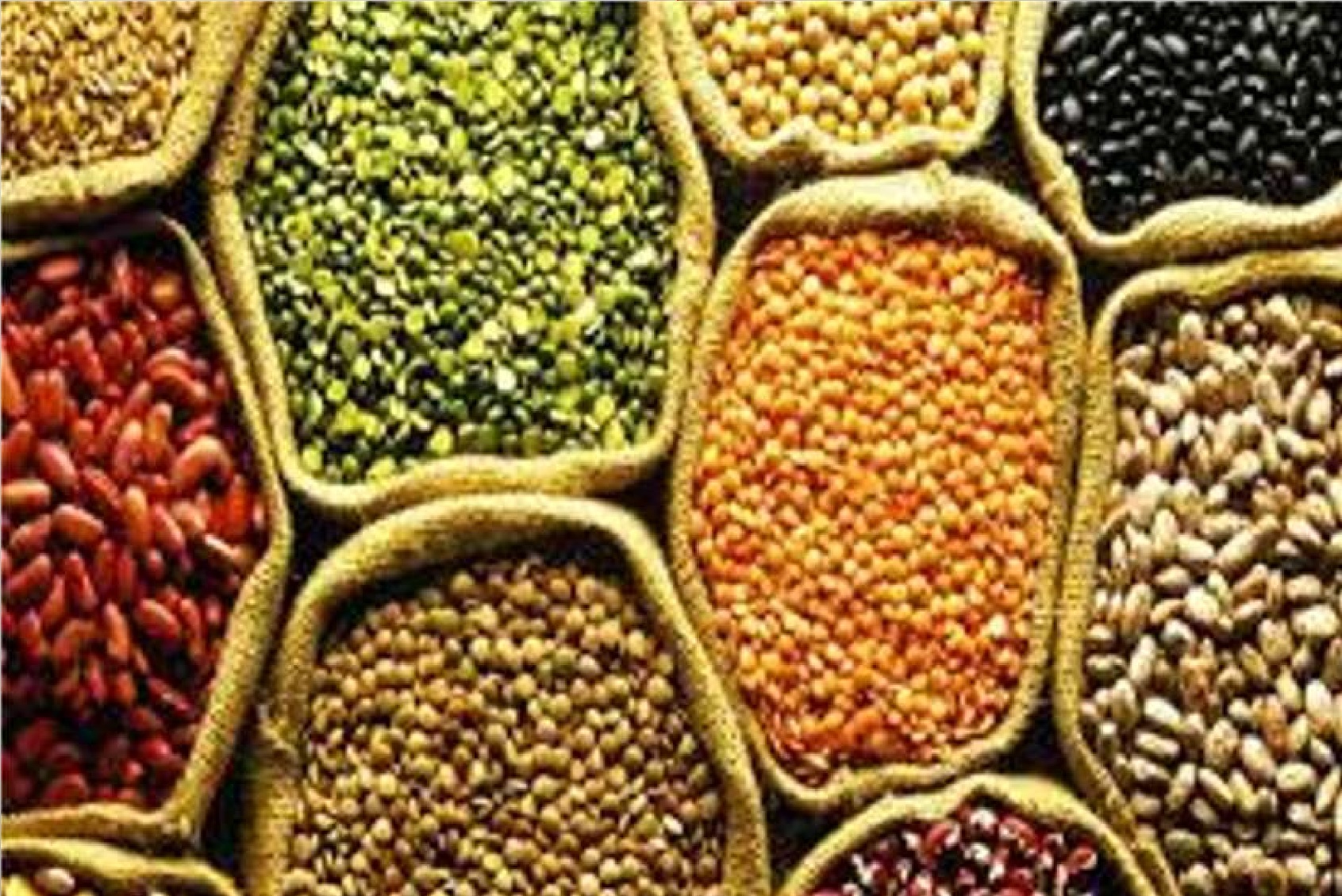 uttarakhand latest news Coronavirus