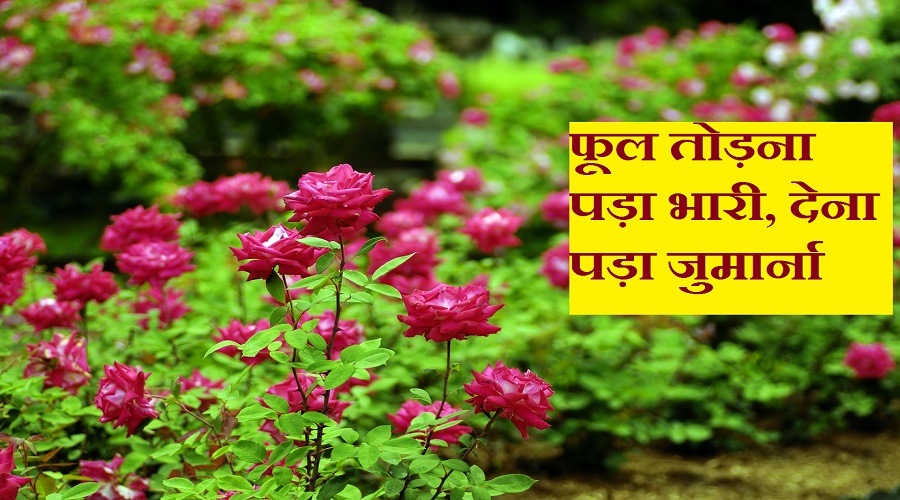 uttarakhand latest news Coronavirus