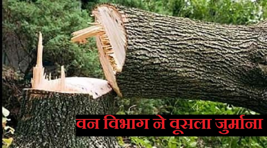 uttarakhand latest news Coronavirus