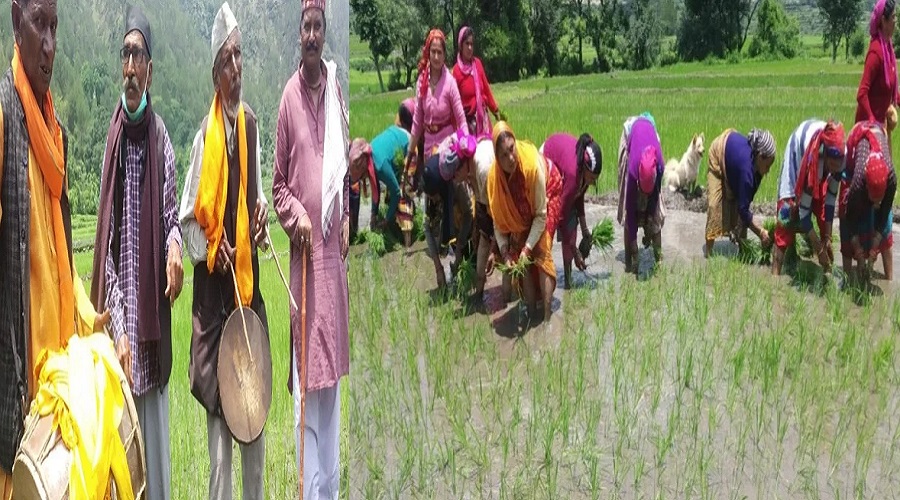 uttarakhand latest news Coronavirus