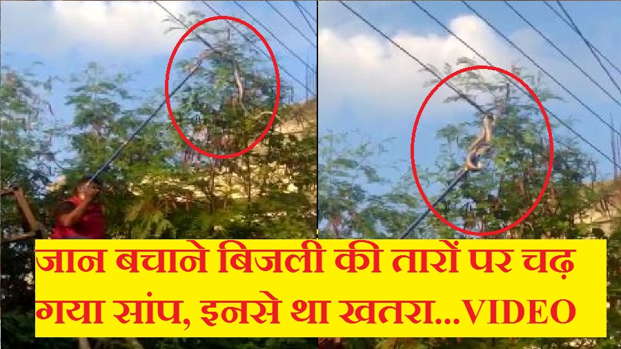 uttarakhand latest news Coronavirus
