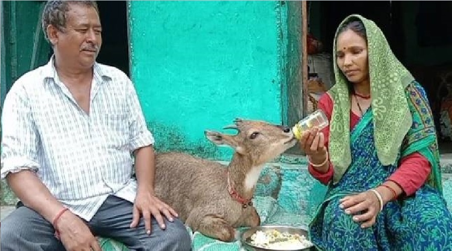 Dehradun zoo