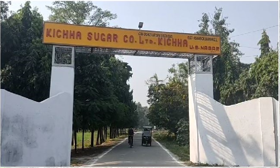 mla