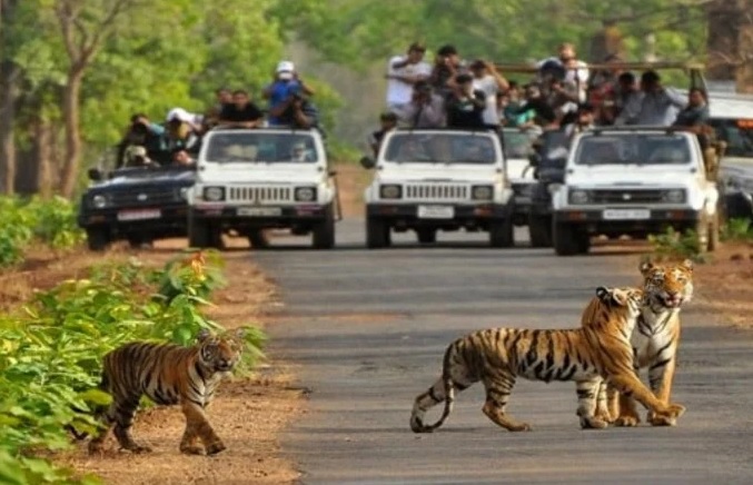 Rajaji Tiger Reserve