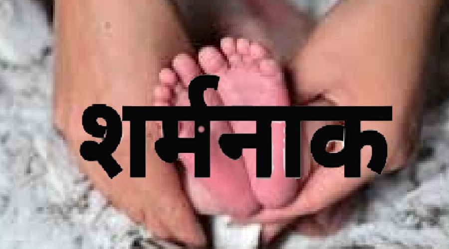 Latest News
