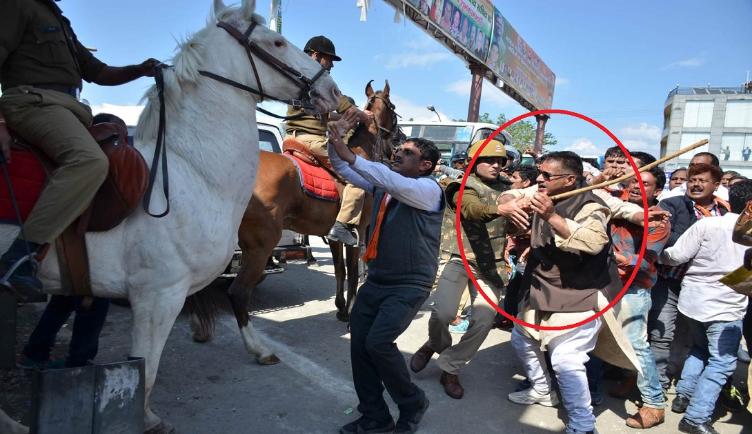 shaktiman horse शक्तिमान घोड़ा