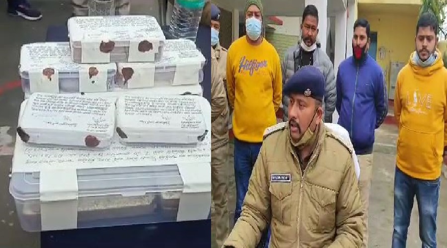 corona virus patients in uttarakhand