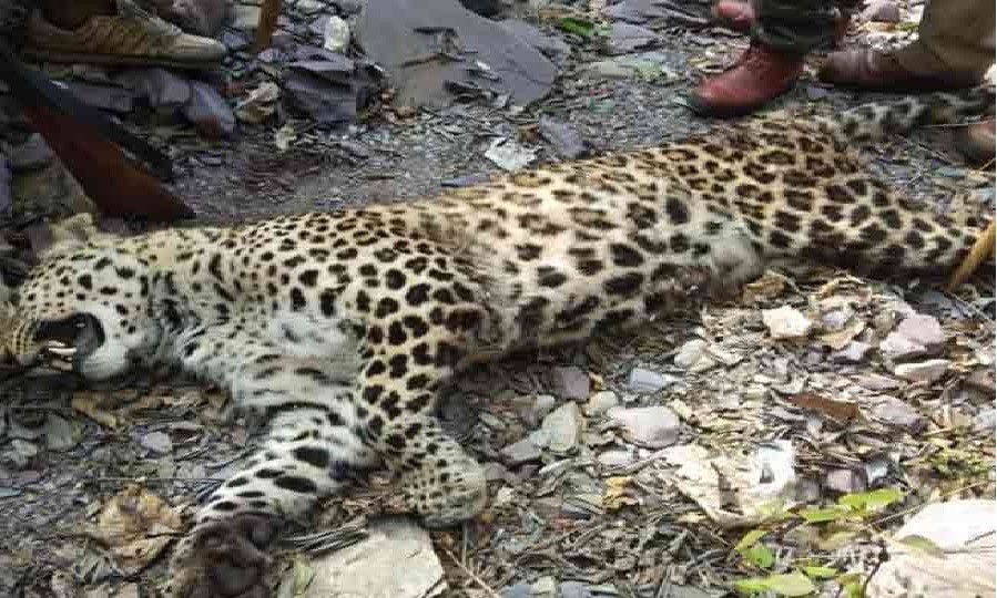Uttarakhand big breaking