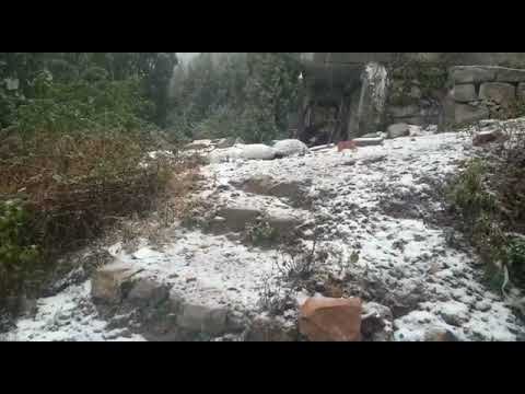 Uttarakhand big breaking