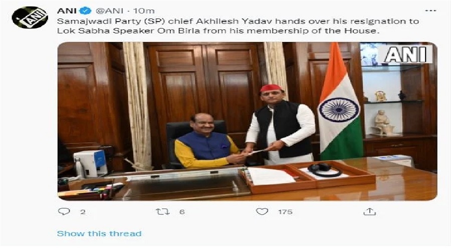 mla