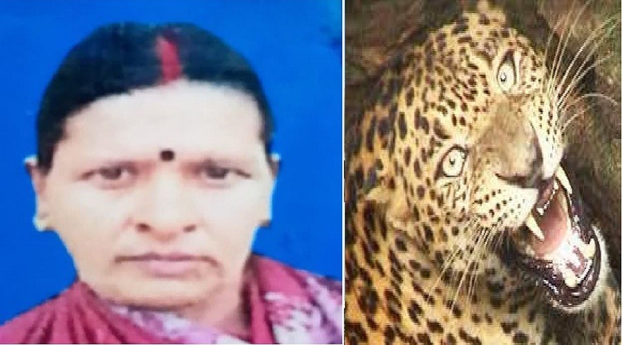 uttarakhand politics