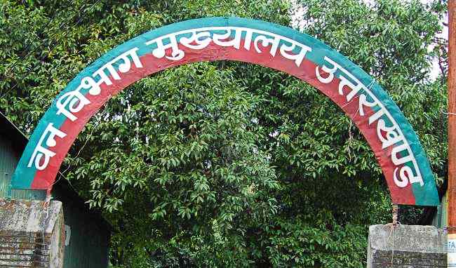 forest department