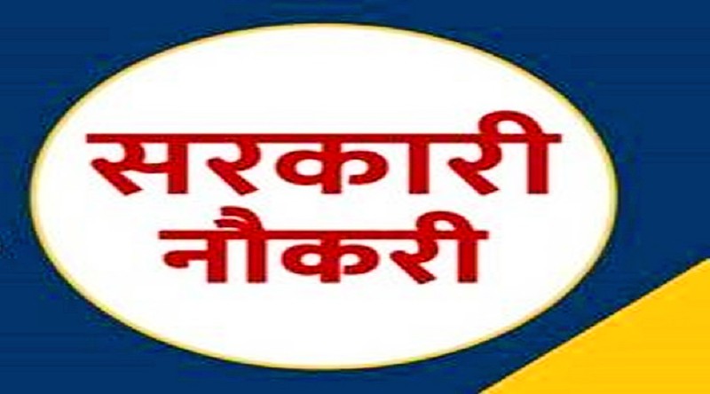 govt job