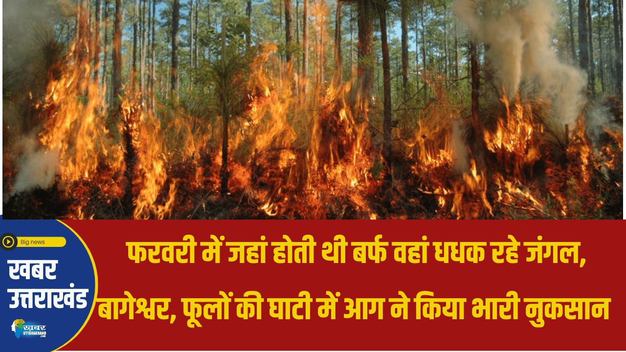 forest fire