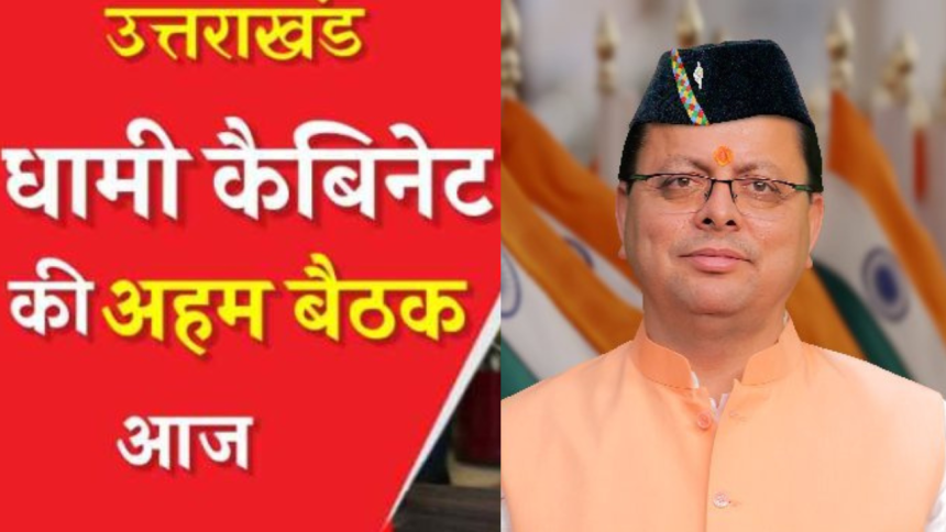 dhami cabinate