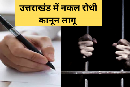 Anti Copycat Law