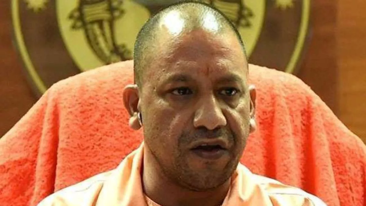 yogi