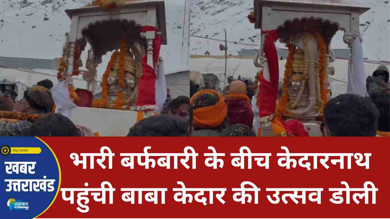 केदार डोली