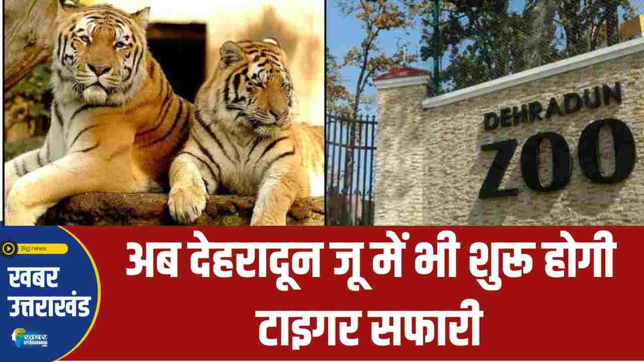 tiger safari in dehradun zoo