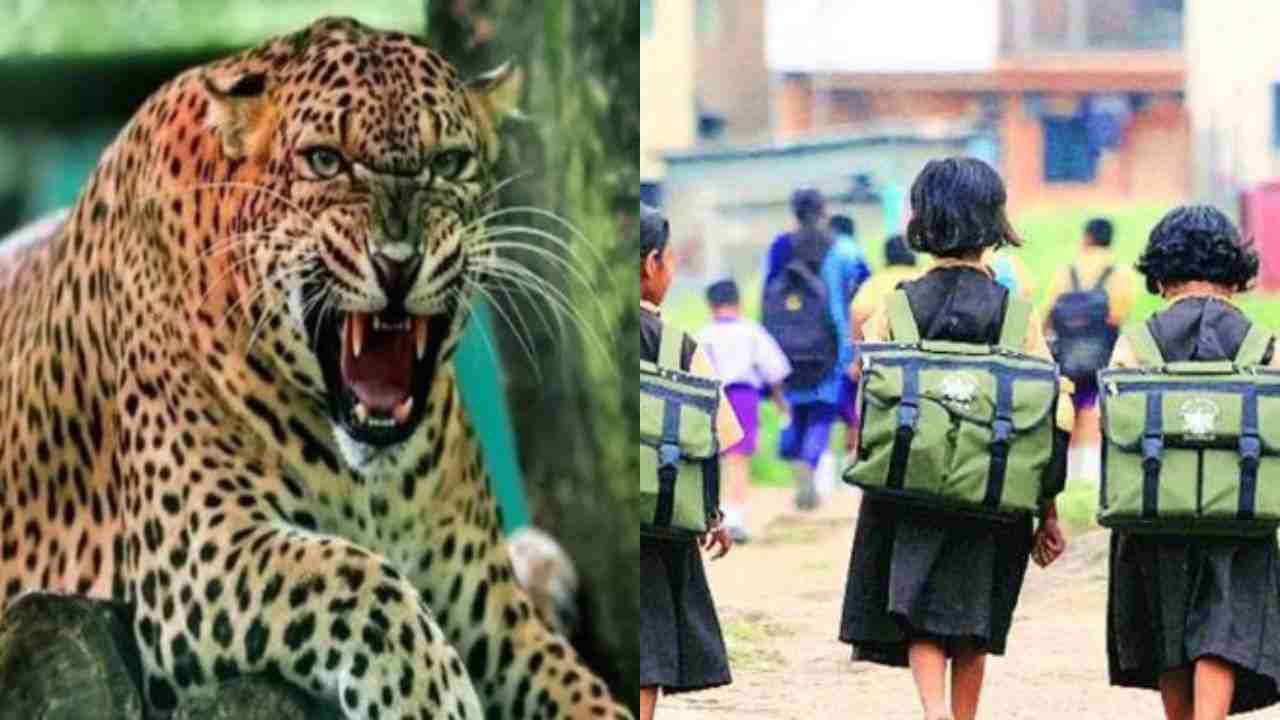 GULDAR WITH STUDENT गुलदार प्रभावित क्षेत्र के बच्चे नहीं जाएंगे स्कूल, शिक्षा विभाग ने जारी किए आदेश
