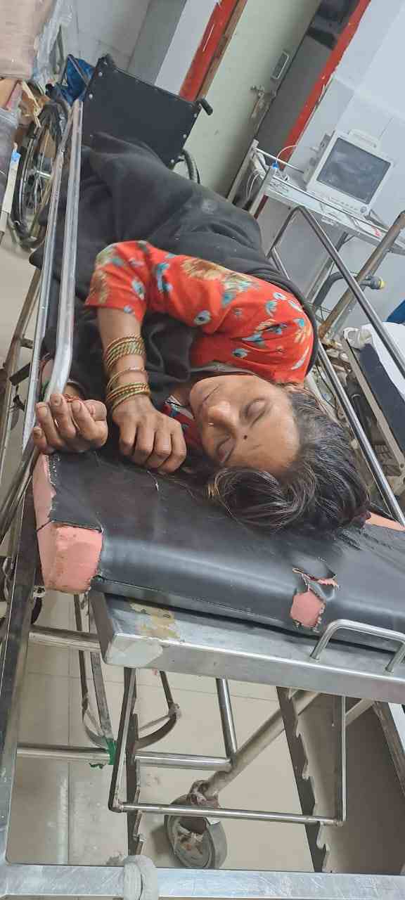 सूअर का हमला